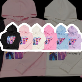 Lot of 6: Huntrx Hoodie...