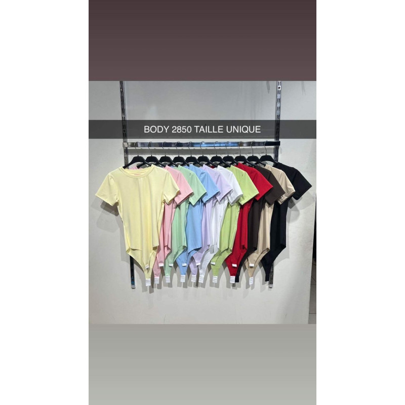 Basic Basic Short Sleeve Body