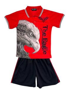 Boys set with white eagle print polo and navy shorts.