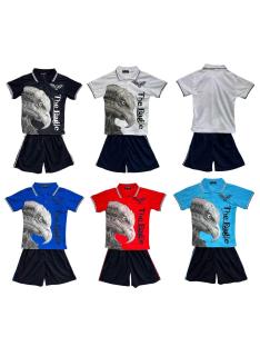 Boys set with white eagle print polo and navy shorts.