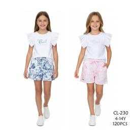 Set van 12 –...